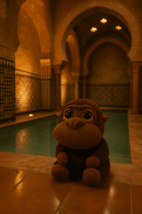 Monky, el peluche viajero, contemplando los baños árabes de Granada al atardecer.