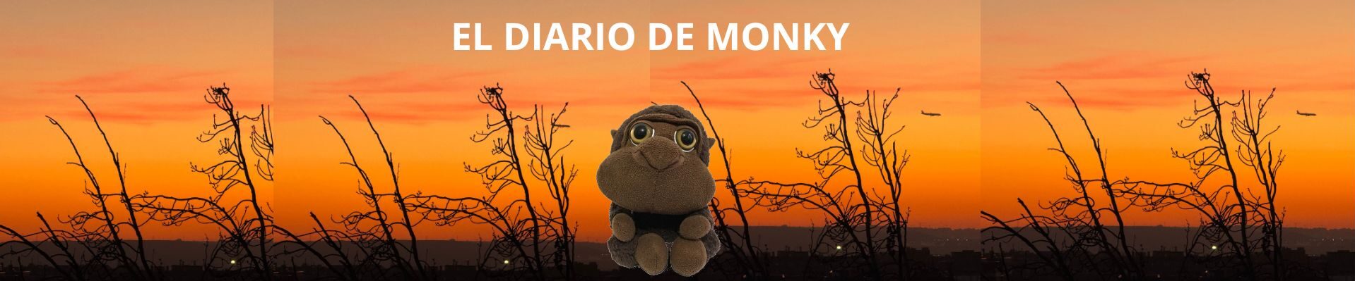 diariodemonky.com