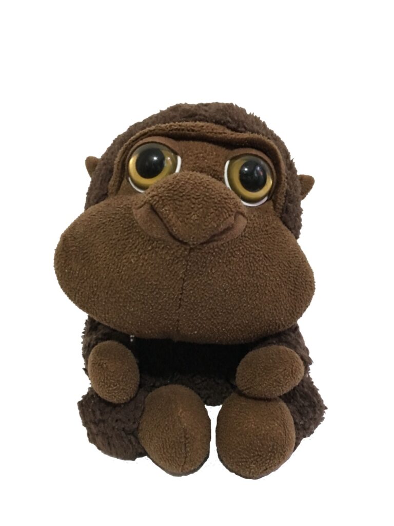Monky, el peluche viajero. Su diario.